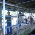 Peixes do registrador do leite de Waikato - desosse a sala de estar de desenhos em espinha para a vaca de ordenha/cabra