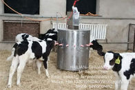 Máquina de alimentação de alimentação da vitela do equipamento da vitela da segurança fácil de limpar